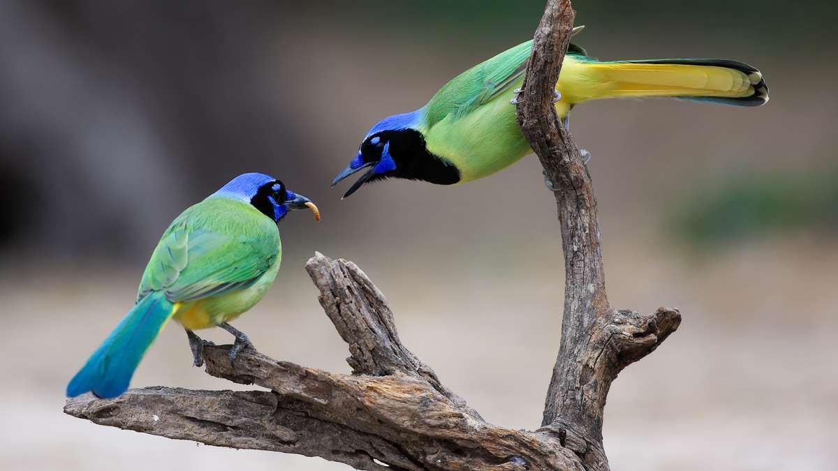 2 Day Weekend Workshop